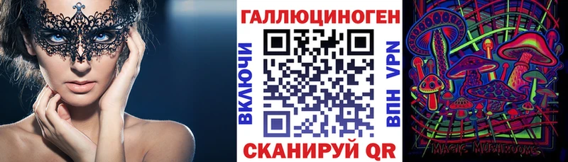 Псилоцибиновые грибы Psilocybe  Ясный 